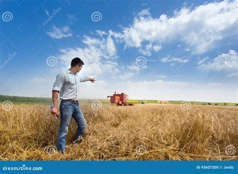 Farmer in Field during Harvest Stock Photo - Image of industry, farming: 93607300