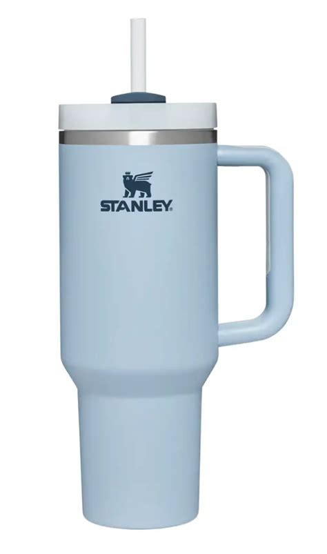 The NEW Stanley Mug | Everything you need to know! – The Modern Mindful Mom