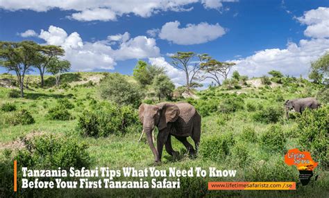 TANZANIA SAFARI TIPS – WHAT YOU NEED TO KNOW BEFORE YOUR FIRST TANZANIA ...