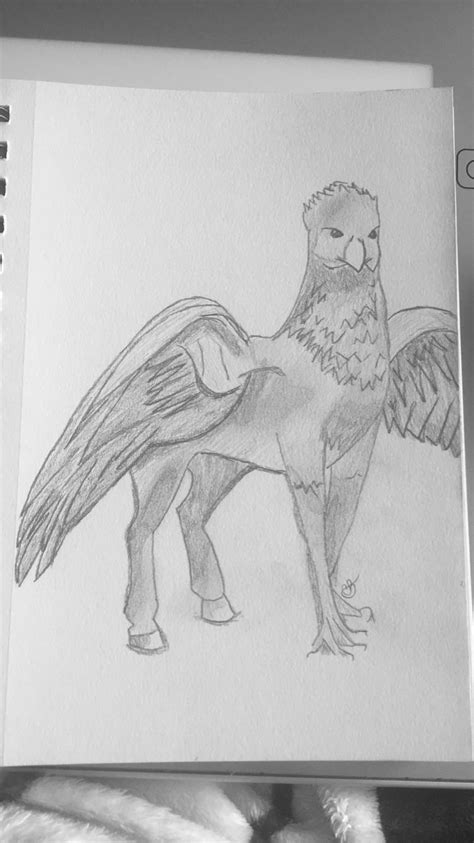 Buckbeak Sketch I Just Finished : r/harrypotter