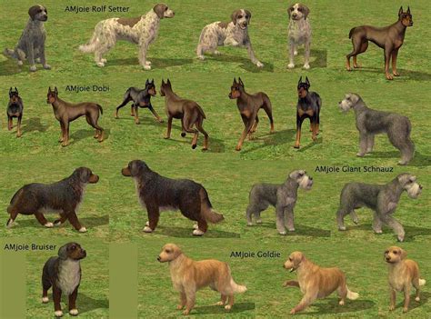 Mod The Sims - AMjoie Dog Breeds: Part Two -- Large Dogs (Two Dozen ...