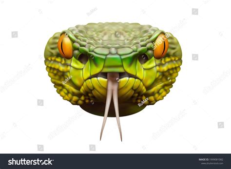 Head Green Snake Front View 3d Stock Vector (Royalty Free) 1999081082 ...