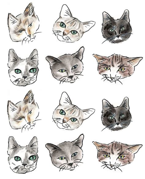 Cat Head Sticker Pack Hand Drawn | Etsy