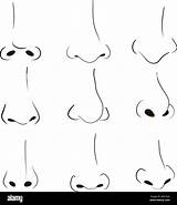 Human Nose Coloring Page Pages sketch template