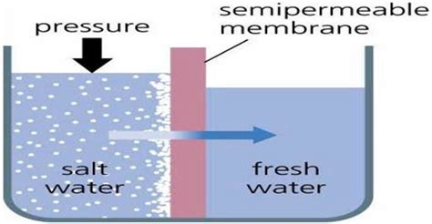 Semi-permeable Membrane: Membrane Solution Theory - QS Study