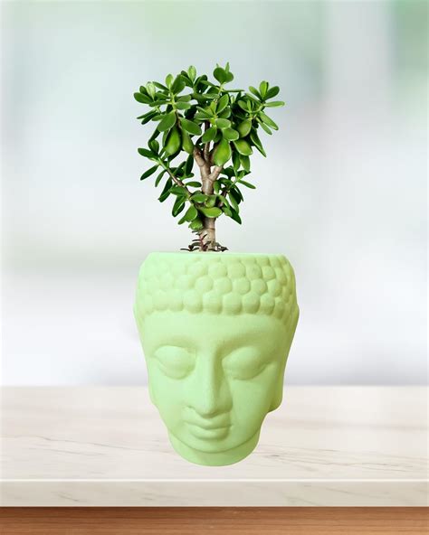 SHAVI DE Small Buddha Ceramic planters, Table Pinnacle Indoor Planter ...