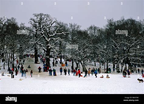 Richmond Park Winter Surrey U K Stock Photo - Alamy