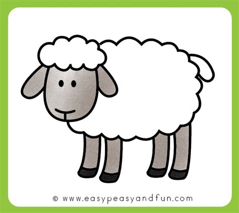 How to Draw a Sheep - Step by Step Sheep Drawing Tutorial - Easy Peasy and Fun