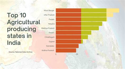 Which are the top 10 agricultural producing states in India? – ACKERLAND