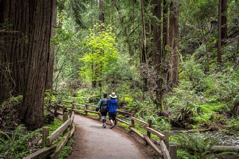 The Best Hiking Trails in the Bay Area