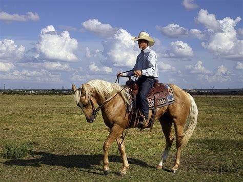 Cowboy Free Stock Photo - Public Domain Pictures