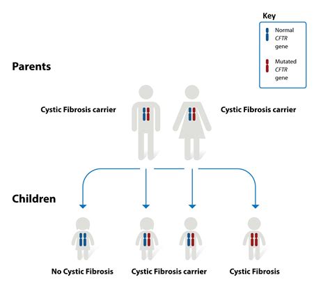 Cystic Fibrosis | National Heart, Lung, and Blood Institute (NHLBI)