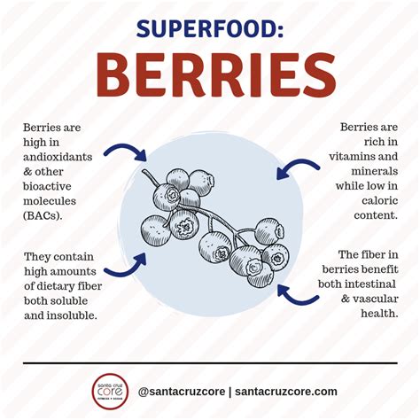 Superfoods: All About Berries! | Santa Cruz CORE Fitness + Rehab ...