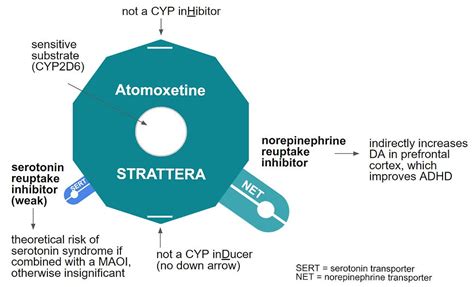 Atomoxetine (Strattera) + Bupropion (Wellbutrin) interaction of the week