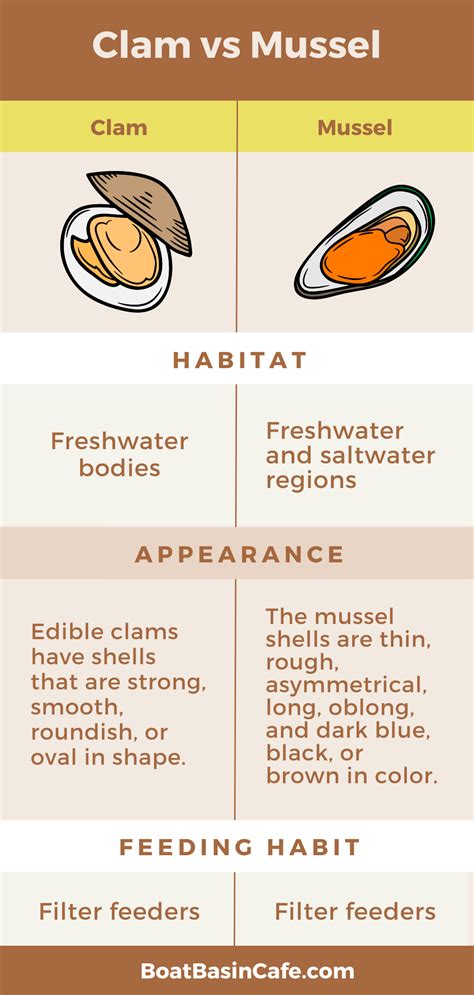 Clam Vs Mussel: Startling Differences You Had No Clue About!