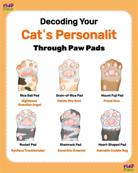 Decoding Your Cat’s Personality from Paw Pads | Gallery posted by Fido ...