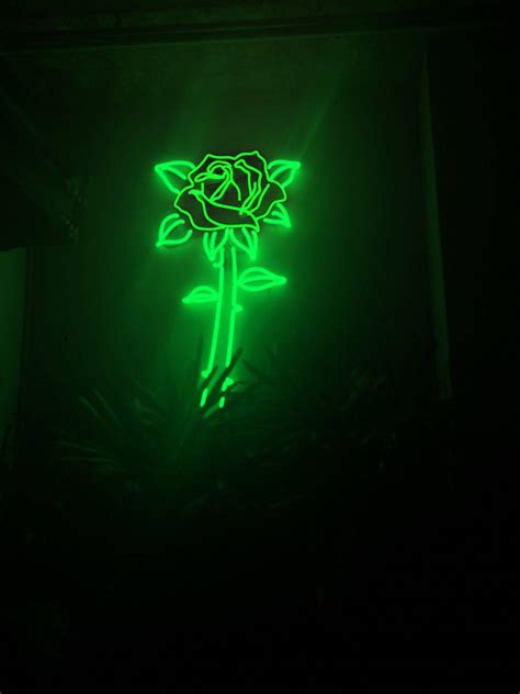 Download Light Green Aesthetic Flower Light Wallpaper | Wallpapers.com