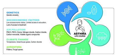 Common asthma triggers | Download Scientific Diagram