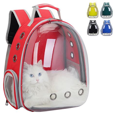 Cat Backpack Travel Bags - Cat Meme Stock Pictures and Photos