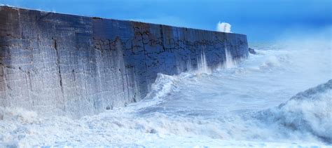 'Living seawalls' prove eco-engineering’s sea legs are strong | GreenBiz