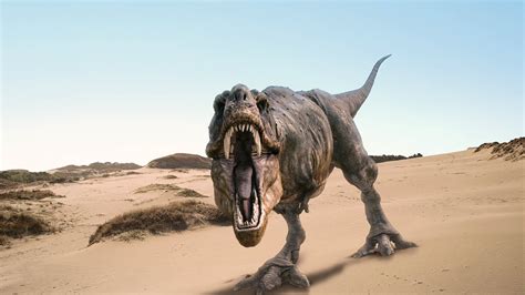 🔥 [50+] 3D Dinosaur Wallpapers | WallpaperSafari