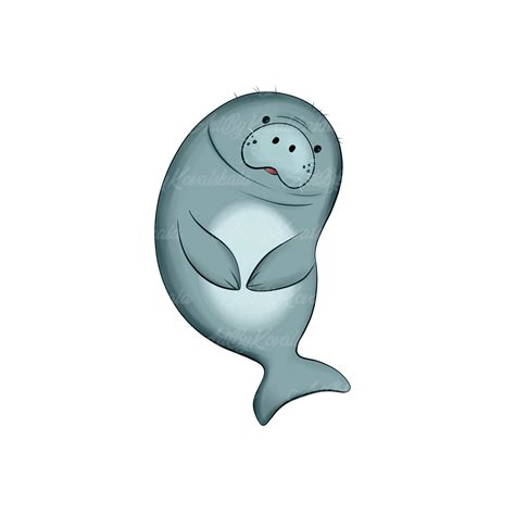 Manatee Clipart, Manatee PNG, Digital Download - Etsy