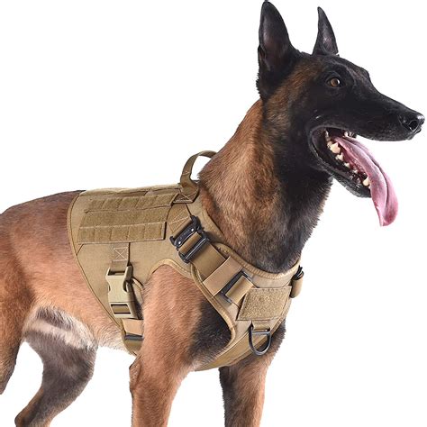 Best Dog Harnesses | 16 Best Dog Harnesses for Every Kind of Dog