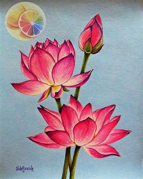 Lotus, Lotus Painting, Lotus Artwork, Lotus Illustration, 10"x8", acrylic on watercolor paper ...