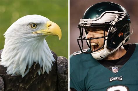 The Philadelphia Eagles and their winged mascot have more in common ...