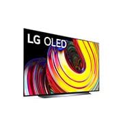 LG OLED TV CS 65 Zoll 4K | OLED65CS9LA.AEUD | LG DE