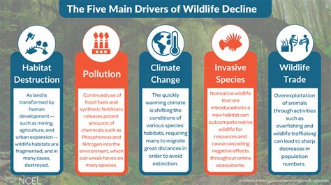 Restoring Biodiversity: How U.S. States are Protecting Life on Earth | National Caucus of ...