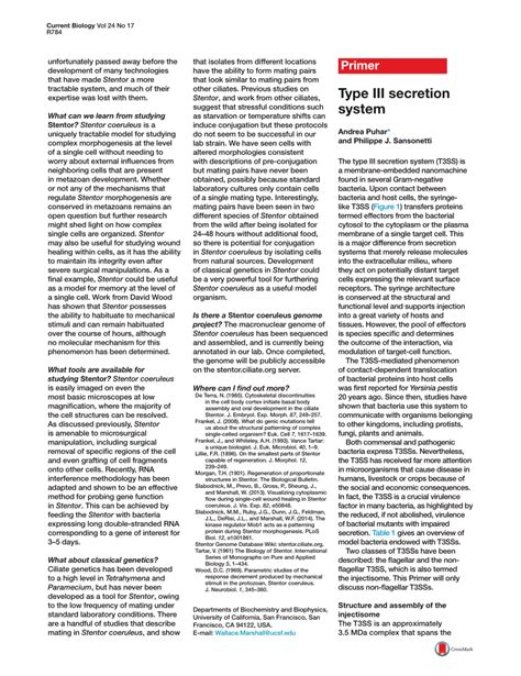 (PDF) Type III secretion system