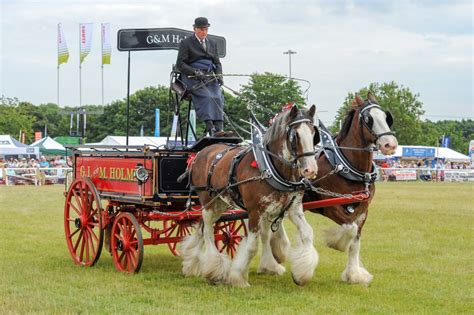 The countdown is underway for the 144th Driffield Show – The Driffield ...