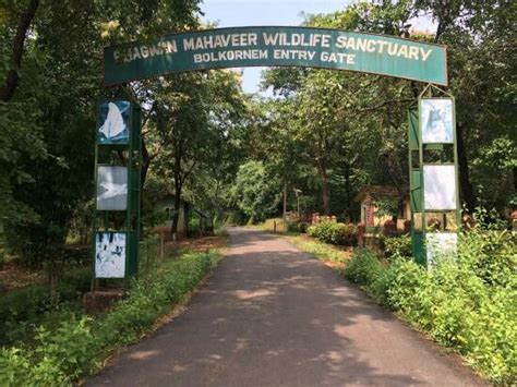 Bhagwan Mahaveer Wildlife Sanctuary in Mollem, Sanguem Taluka, South Goa District, Goa