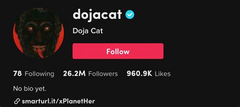 Doja Cat's TikTok PFP May Hint at New Album