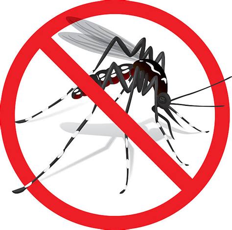 Clipart Mosquito Da Dengue