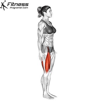 How To Do Standing Knee Hugs - Benefits, Muscles Worked