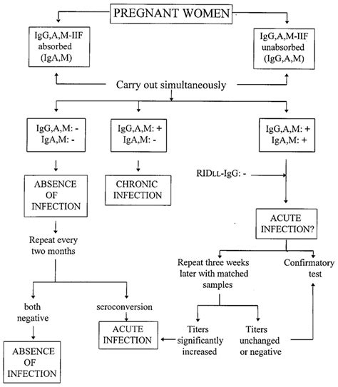 Algorithm for the detection of toxoplasma infection in pregnant women ...