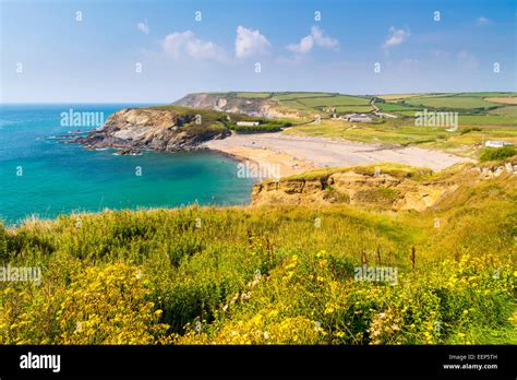 Overlooking the beach at Gunwalloe Church Cove Cornwall England UK Europe Stock Photo - Alamy