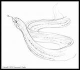 The Best Free Garter Drawing Images Download From 71 Drawings Of  sketch template