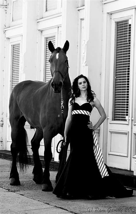 Horse Bridal Portraits : r/Horses