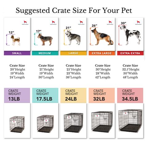 What Size Crate Should I Get For A Golden Retriever