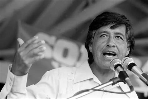 41 Most Inspiring Cesar Chavez Quotes To Achieve Success