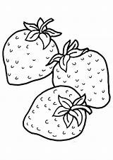 Coloring Pages  Three Strawberry Page For Kids sketch template