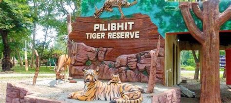 Pilibhit Tiger Reserve: Uttar Pradesh