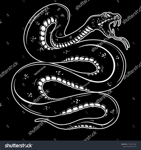 Illustration Poisonous Snake Engraving Style Design Stock Vector ...