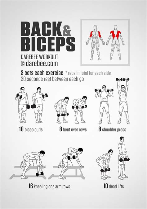 Rutina | Back and bicep workout, Biceps workout, Dumbell workout