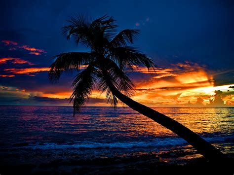 🔥 [40+] Tropical Beach Sunset Wallpapers Desktop | WallpaperSafari