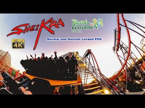 Sheikra Roller Coaster at Night On Ride Back Row 4K POV Busch Gardens ...