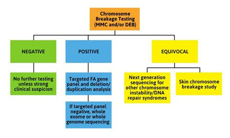 Fanconi Anemia Diagnosis